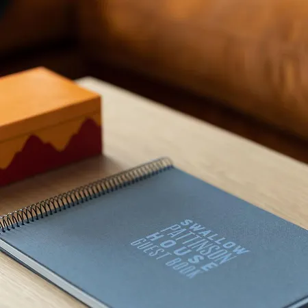 Swallow * Bowness-on-Windermere